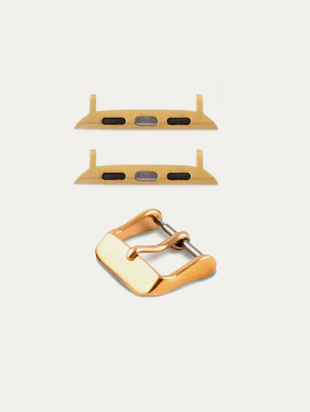 Apple Watch insert option