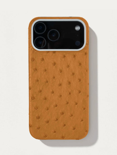 Coque cuir pour iPhone 17 Pro / Pro Max - Autruche