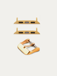 Apple Watch insert option